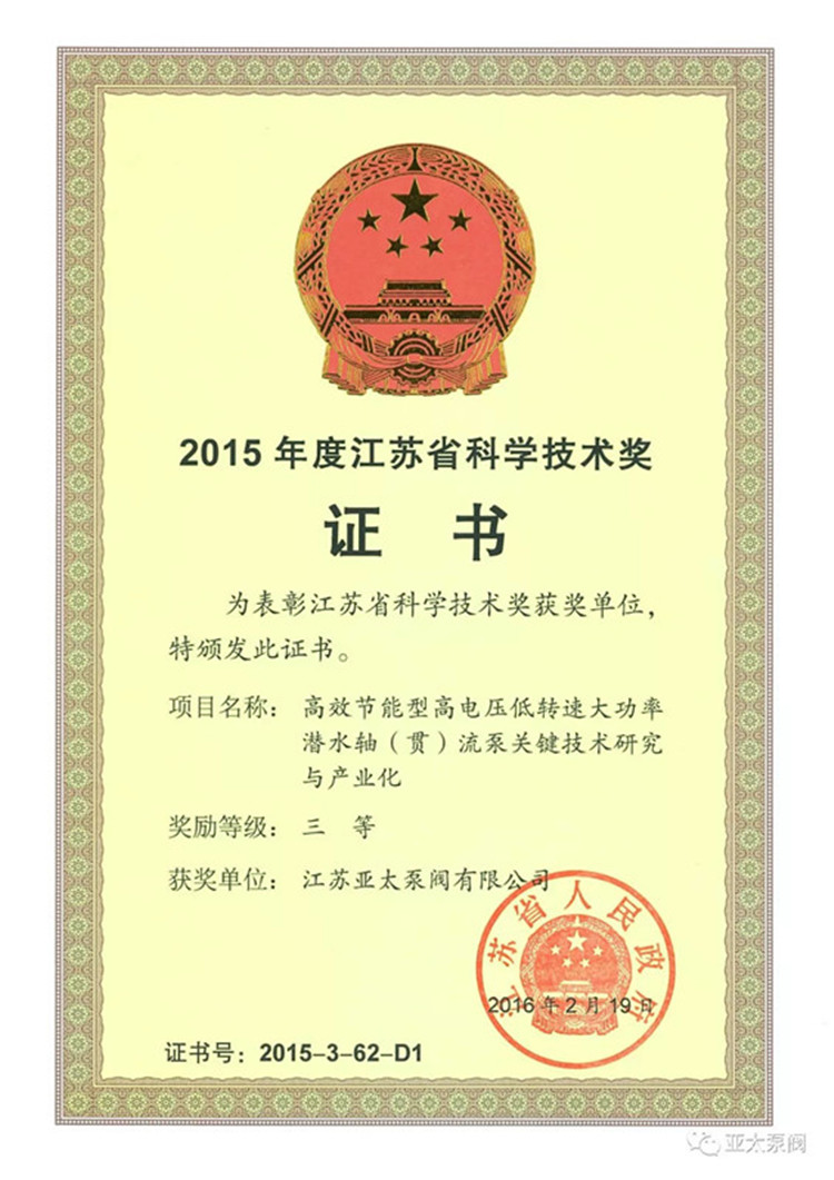 纽约国际(中国区) - 官方网站
